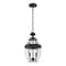 Z-Lite Westover 2 Light Outdoor Chain Mount Ceiling Fixture, Black & Clear Beveled 580CHM-BK - alternate 1